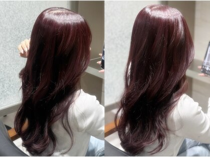 ルーカス(Lucas)の写真