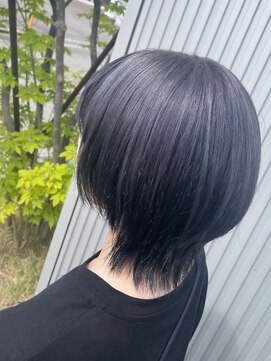 カーラ エクステンション(cara extension) silver×black umbrella color