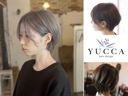 ユッカ(YUCCA)の写真