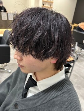 ヒュイル バイ ニアウ(Hwyl by Niau) スパイラルパーマメンズナチュラルウルフカットニュアンスパーマ