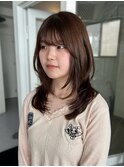 ハッシュカット