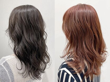 リベルタ(Liberta)の写真