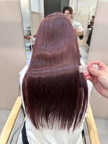 シダ(sida)&nbsp;ブリーチなしダブルカラー「バーガンディ」