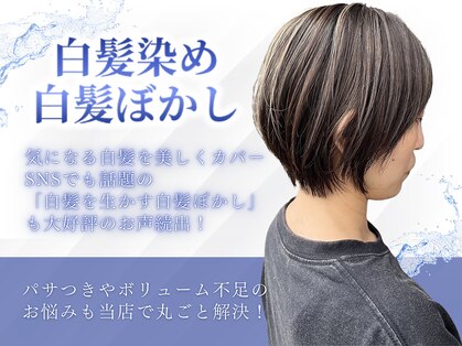 ディスコヘアーサンク(DISCO HAIR sanc)の写真