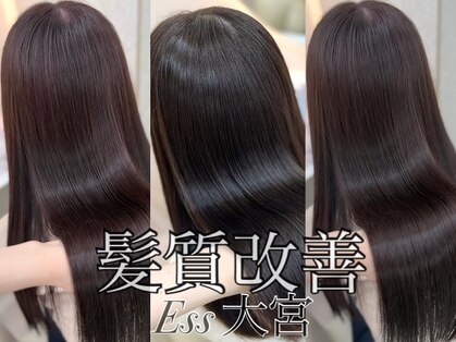 エス(Ess)の写真
