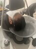 頭浸浴＋ケアプロ5stepシステムトリートメント☆ホームケア付（カットなし）