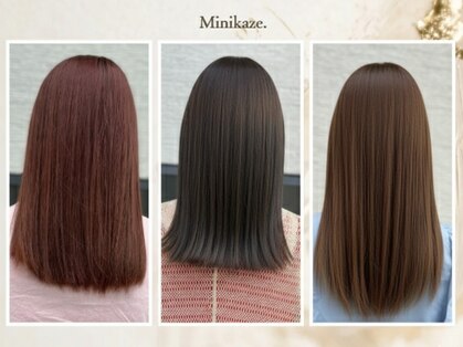 ミニカゼ(Minikaze.)の写真