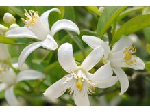 コタ アイ ケア  3〈ネロリブーケの香り〉