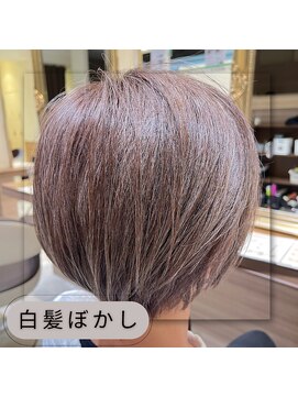 アッシュ 中山店(Ash) 【家郷限定】白髪ぼかしカラー