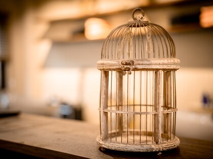 ポンポネの写真