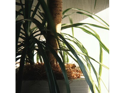 ベビーモード 中島店(HAIR MAKE BABY MODE)の写真