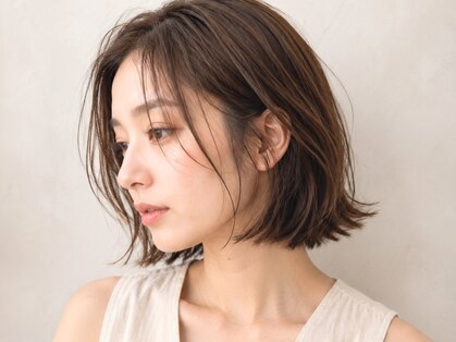 アミ(Ammi)の写真