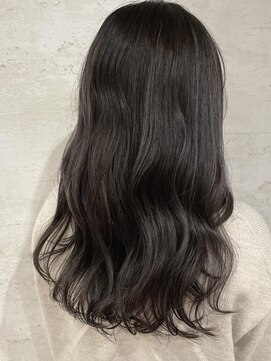 シェリッシュ ノース(Sheriche North) 暗髪×ロシアンブルー