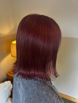ヘアーデザインサロン スワッグ(Hair design salon SWAG) cherryred