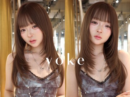 ヨーク(yoke)の写真