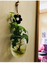 ジュエル美容室&nbsp;清水 かおる