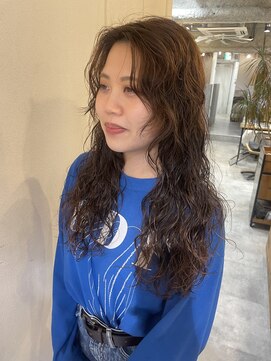 ボルタノット(volta∞knot) カーリーヘア★