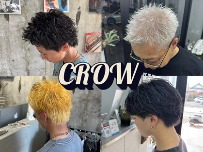 クロー(CROW)の写真