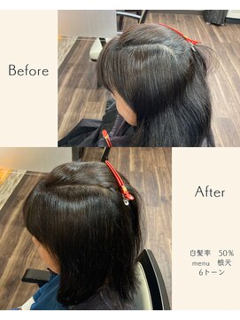 美染 丸山店(Bisen) ご新規人気NO.2【根元染め】オーガニックカラーK