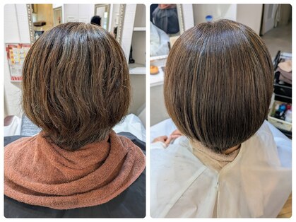 パーフェクトビューティーイチリュウエスエス(perfect beauty ichiryu SS)の写真