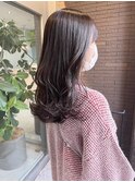 ラベンダーカラー