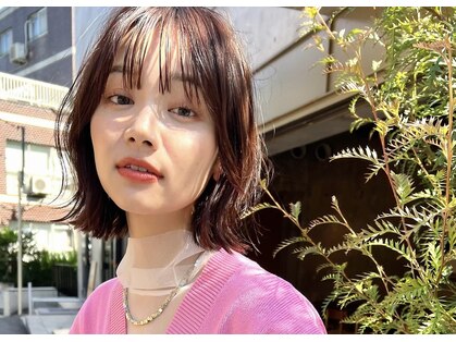 テイラー(Taylor)の写真
