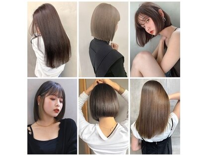 ラエティス(Laetus)の写真