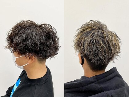 リベルタ(Liberta)の写真