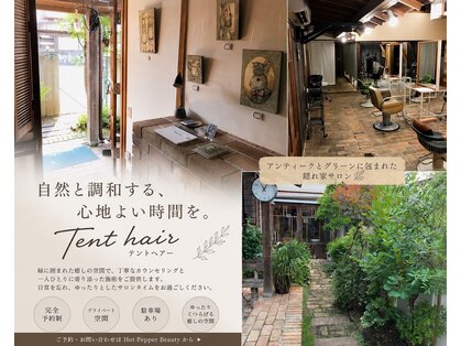 テントヘアー(tent hair)の写真