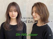 ディーエイチハルクローバー(Dh-HAL clover)