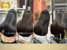 ディプティモイラ(dipty MOILA)