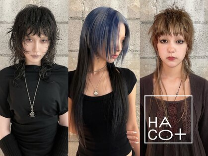 ハコ プラス(HACO+)の写真
