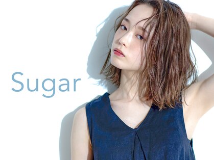 シュガー(Sugar)の写真