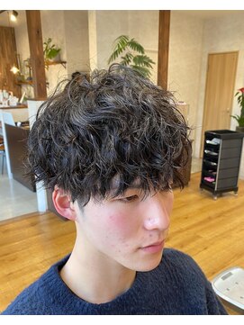 ダックス(DACS) ツイストスパイラルパーマ