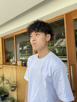 シツ(situ) ツイストスパイラル