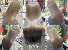 エミュ(emu)