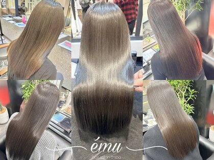 エミュ(emu)の写真