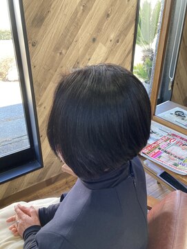 ルネッサンスヘアー ラファエロ(RAFFAELLO) 艶々グレーカラー