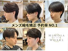 ミモザワークス(Mimosa Works)