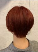 サンシャインレッド