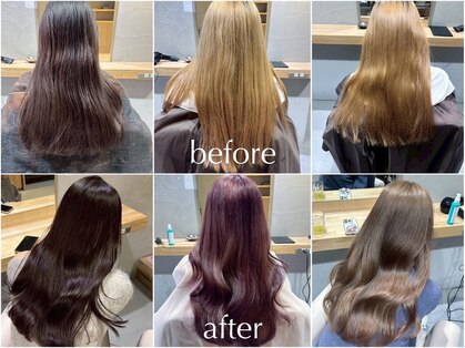 アッシェオレン(Ashe oleng)の写真