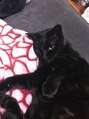 ヒューラ 三鷹店(hurra) 黒猫を飼っていて、毎日癒されてます♪
