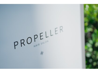 プロペラ(PROPELLER)の写真