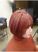ダブルカラー レッド