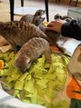 REM 三鷹【12/1NEWOPEN】 休日は主に動物と触れ合ってます
