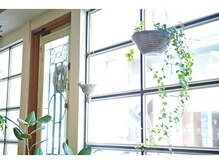 静かに過ごせる落ち着いた空間