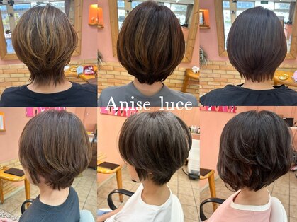 アニス ルーチェ(Anise luce)の写真