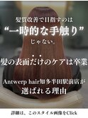 Antwerpの髪質改善について【詳細はこのスタイルをチェック】