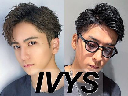アイビーズ(IVYS)の写真