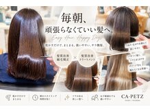 シーエーペッツ(CA-PETZ)